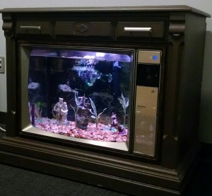 Funky Fish Tank