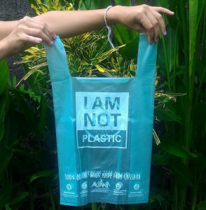 IAMNOTPLASTIC bag