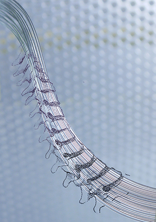 Flexible polymer neural probes.